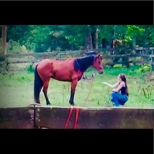 Meet your Posher, Lillian